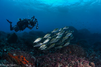 271139244 10225932135279679 3440090112840431752 n