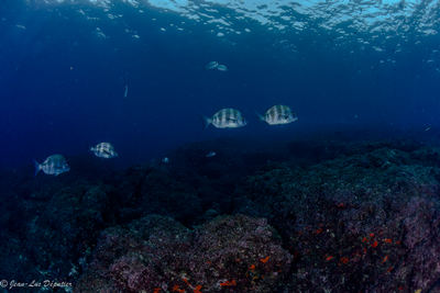 271146505 10225932136559711 309268833099005657 n