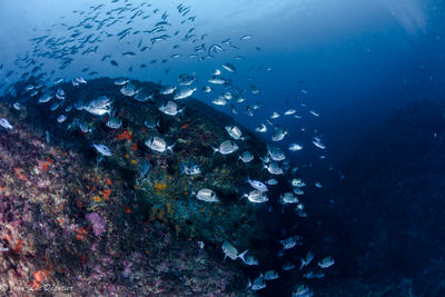 271150467 10225932137039723 5498287298385933067 n