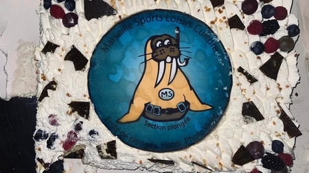 307014006 566987681891042 4232453199628860710 n