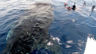 vlcsnap 2022 11 07 15h27m07s578