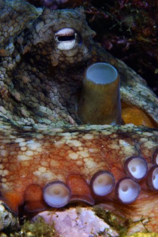 _dsf5796taille900taille600