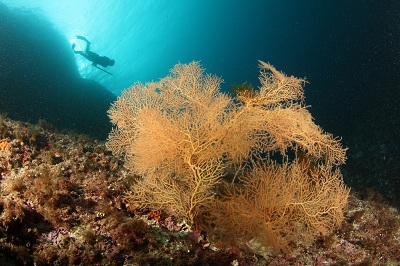 1er prix ambiance joaquim hayon 