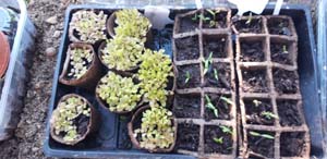 20200426 175031 copy copy copy copy