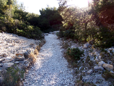 340120975 233913129132132 2531579531858457350 n copy