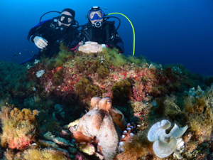 64978353 10214529205005501 8163831341830373376 o