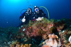 66086968 10214529205165505 2294743061374173184 o