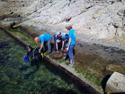 0f55ff73 9a0b 46b2 a5c5 f85a9ff69470