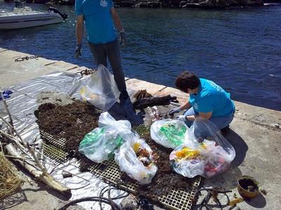 bd6731a7 11b7 4acf 8aac bb9692a155b3