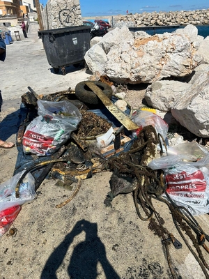 e0e5f9e4 8277 416b bbcb 71fef4705503