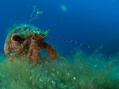 Genevieve Martin 6120