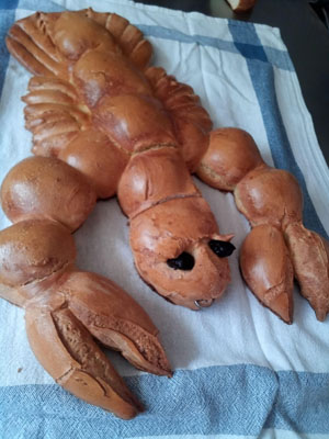 IMG 20200221 115239 31