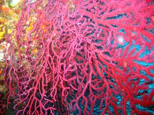 IMG 4722 Copie copy copy