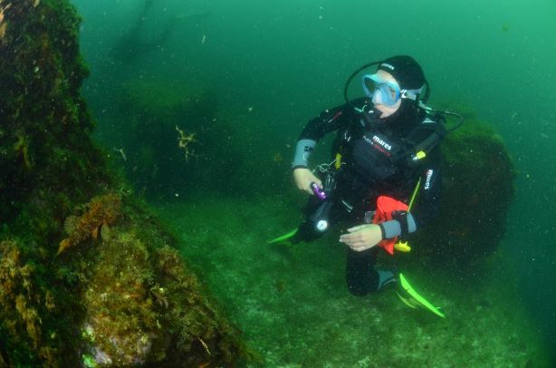 Céline devant un chapon
