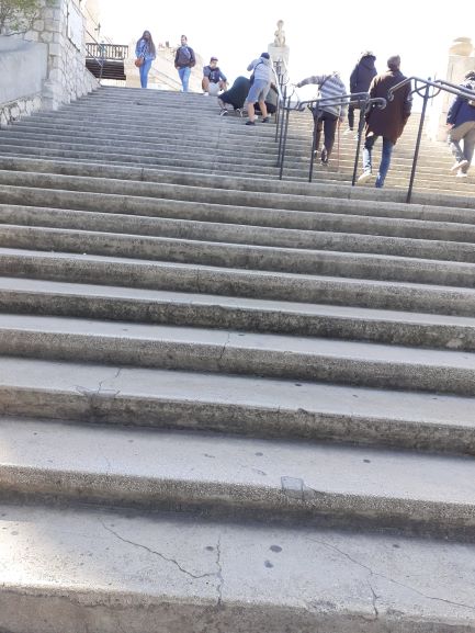 Resized 20220409 135210