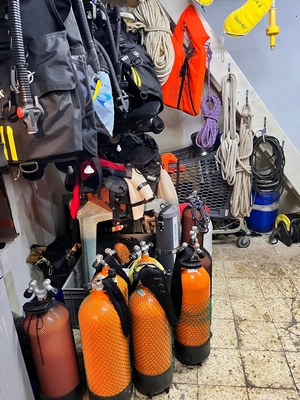 316550836 615847473671729 4642773986616571611 n