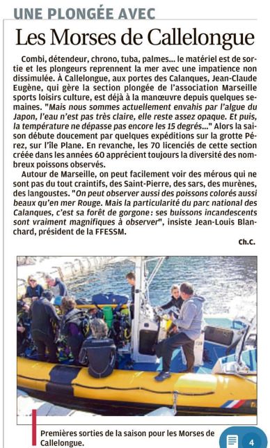 les Morses à Callelongue