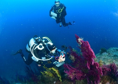 34293500 85aa 4ae9 ae18 0fa918fb4ffa