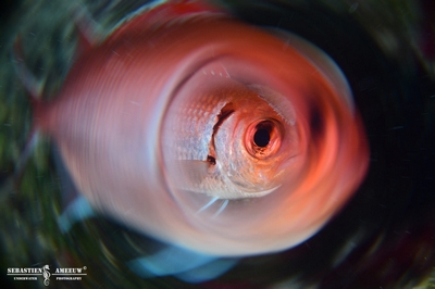 392945162 2027172954304500 1562068056708188268 n