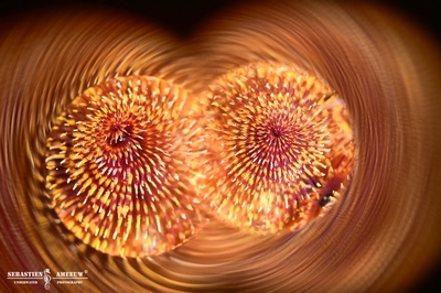 393583930 2027172900971172 2099538518615096842 n