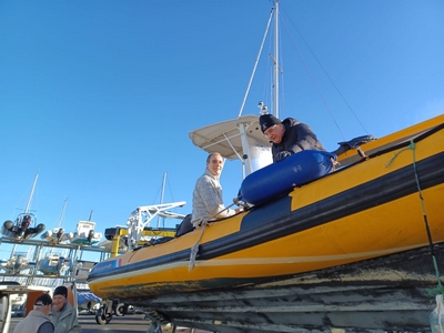 458130ad d004 48f5 b5ac 21da18693b11