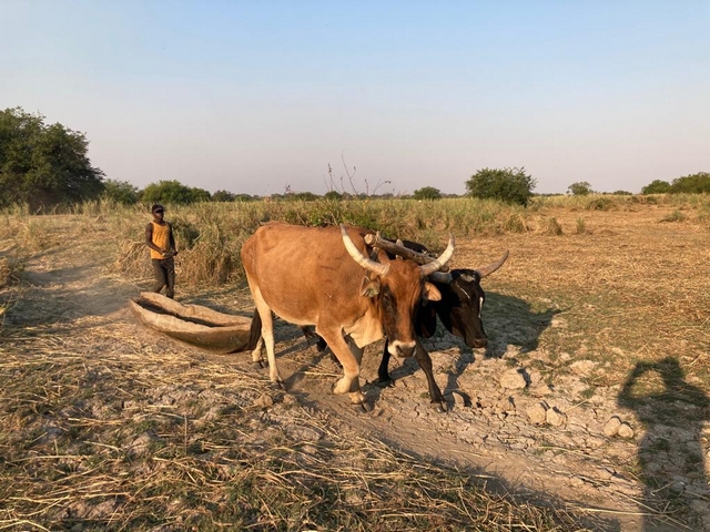 a49cde58 9f08 4706 94b7 6197a620ccb5