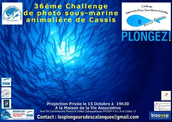 311519521 5675213532500347 3477912986629794211 n