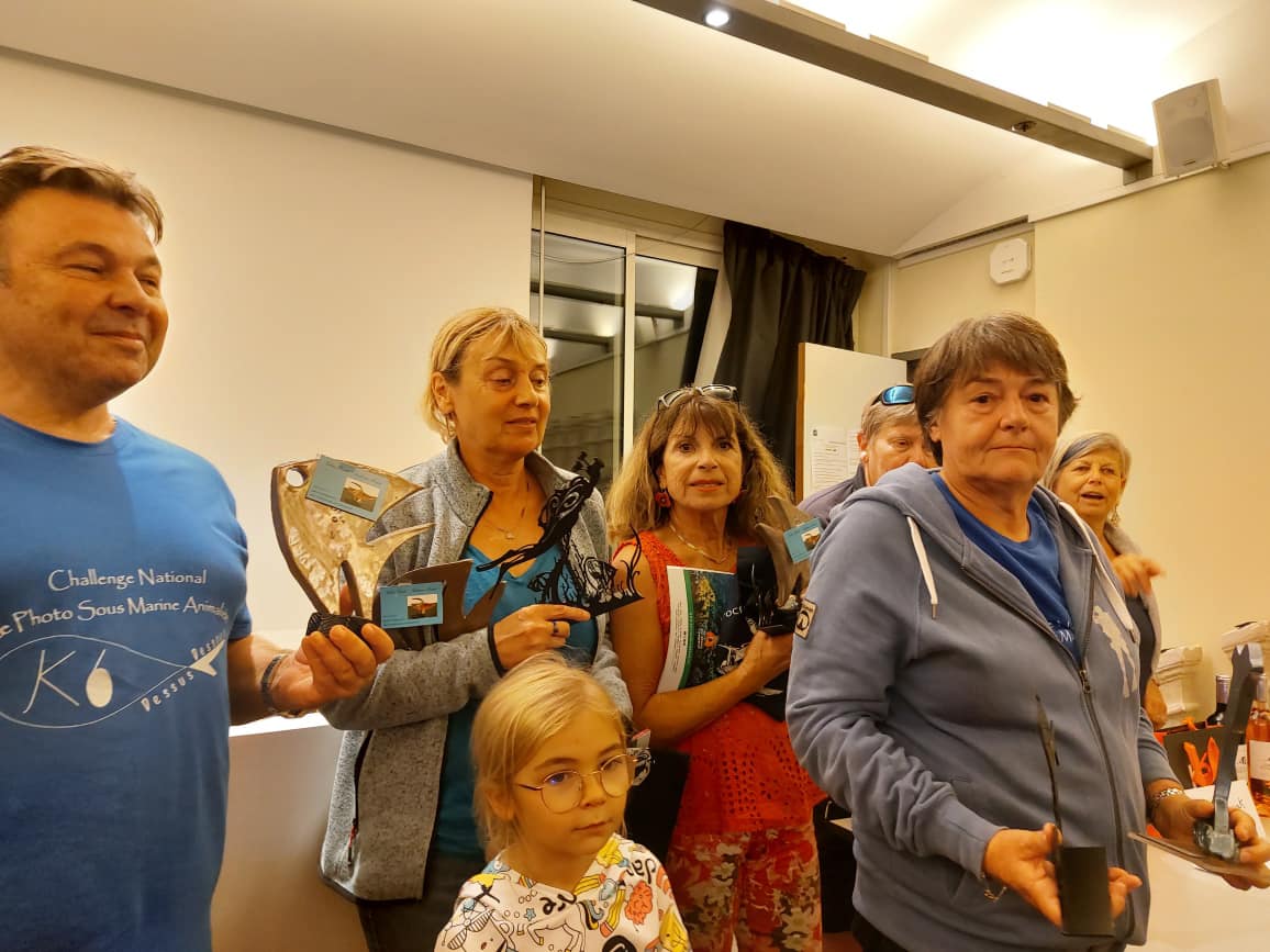 311692839 1227976231113268 4848784003278246270 n