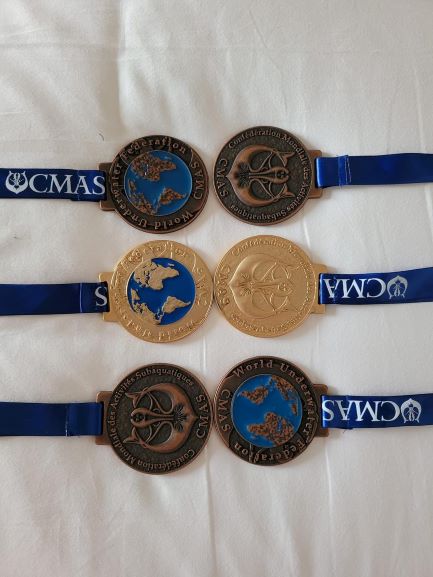 310681462 1777928652562266 4786397186458687783 n