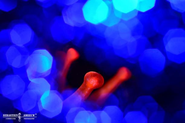 311130172 1777928949228903 4736134854825494541 n