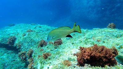 Projet Vidéo5 copy copy