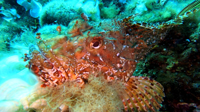 Projet Vidéo7 Copie