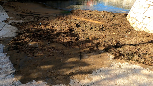 descente du toine 3.Movie Instantané