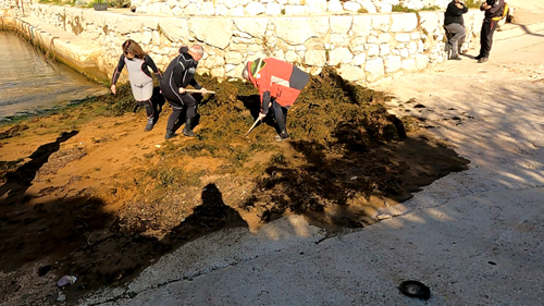 descente du toine 5.Movie Instantané