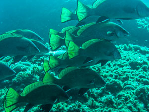 JC eugene17082019iel 89985