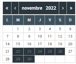 Mini Calendrier