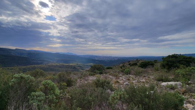 vue_sur_Marseille.jpg